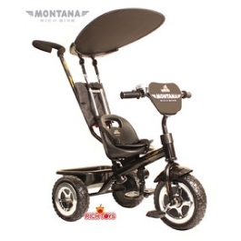 3-   Rich Toys Lexus Trike Original MONTANA Black