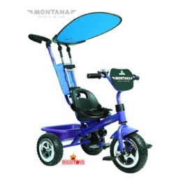 3-   Rich Toys Lexus Trike Original MONTANA Blue