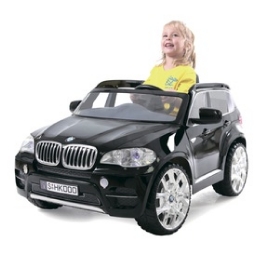  Geoby W498QG BMW X5